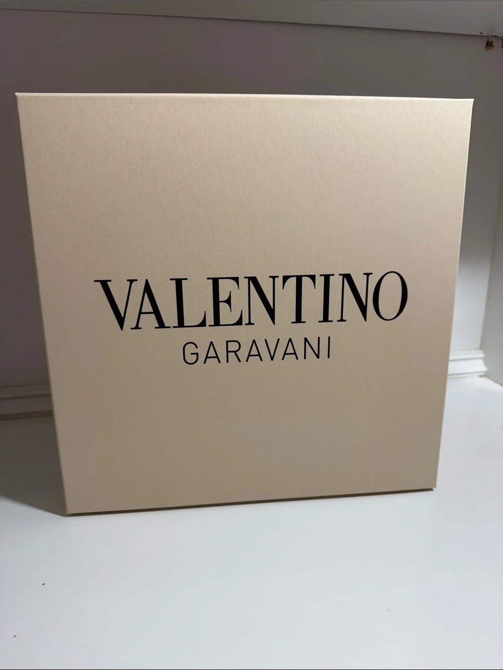 Valentino Empty Handbag Box